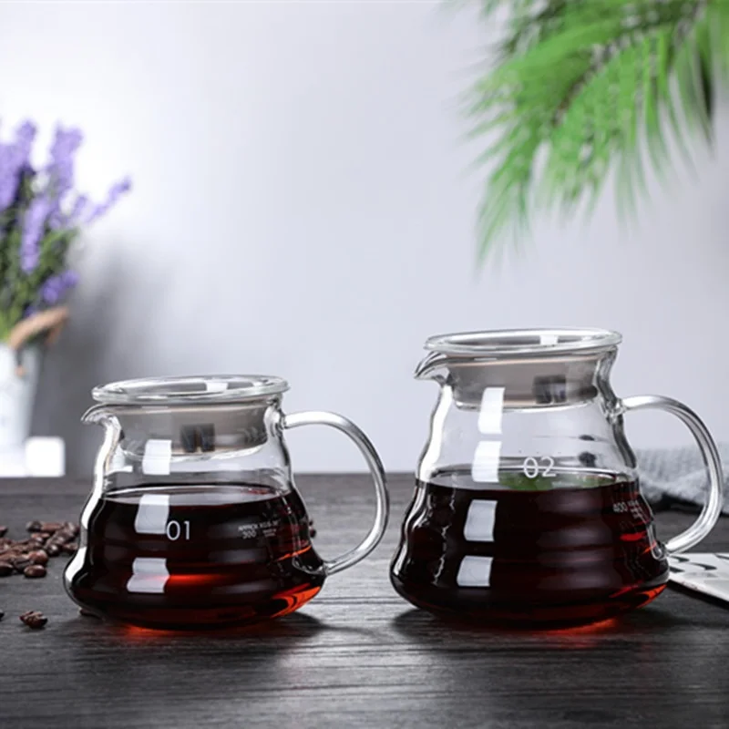 Carafe à café infusée à la mai - Coffee Equipment Tools avis et prix